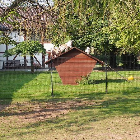 Apartamento Gut Dankerode Dankerode  Exterior foto
