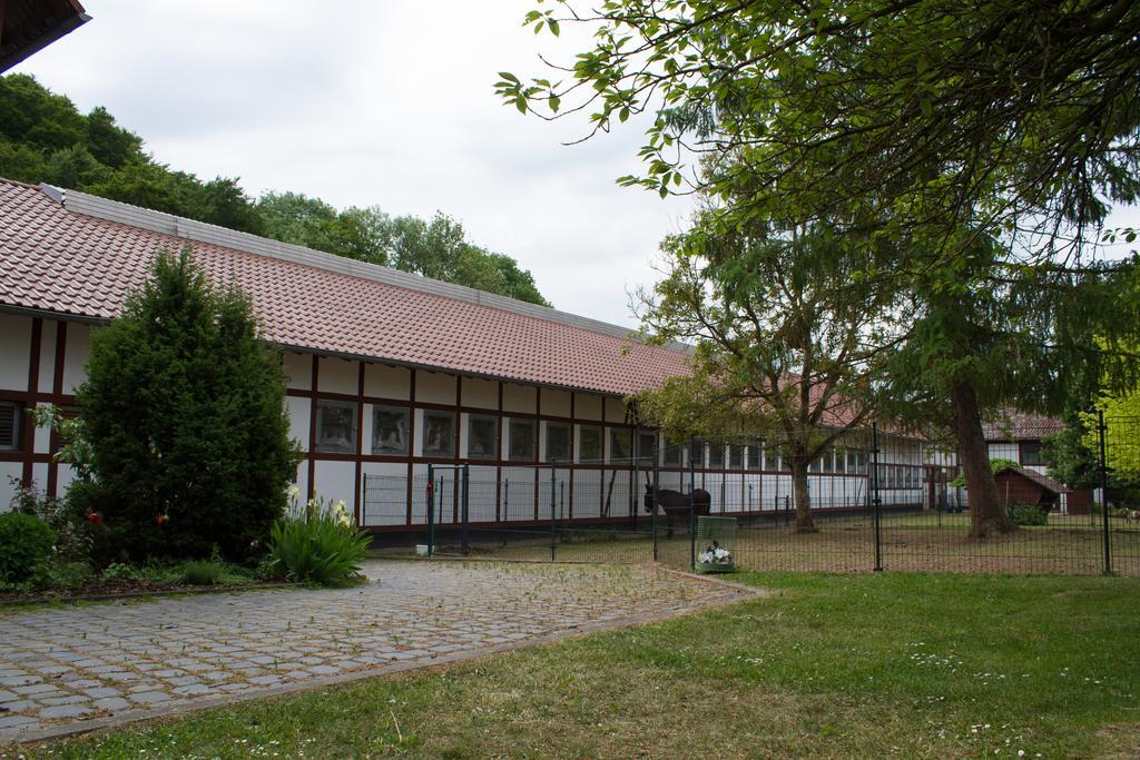Apartamento Gut Dankerode Dankerode  Exterior foto