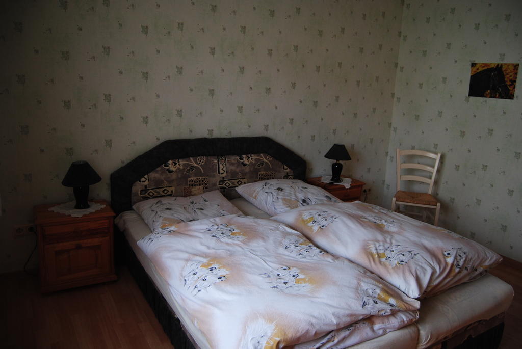 Apartamento Gut Dankerode Dankerode  Habitación foto